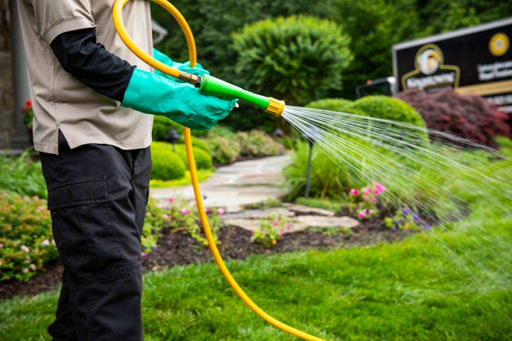 Treat your yard with insecticide sprays designed to kill flea eggs