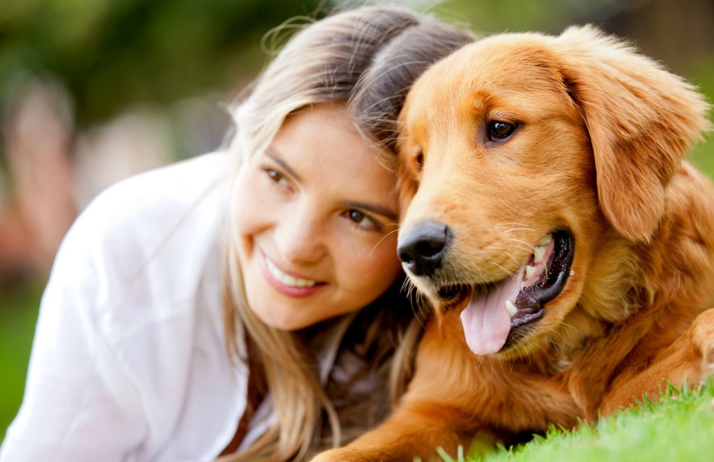 Dog as an Emotional Support Animal