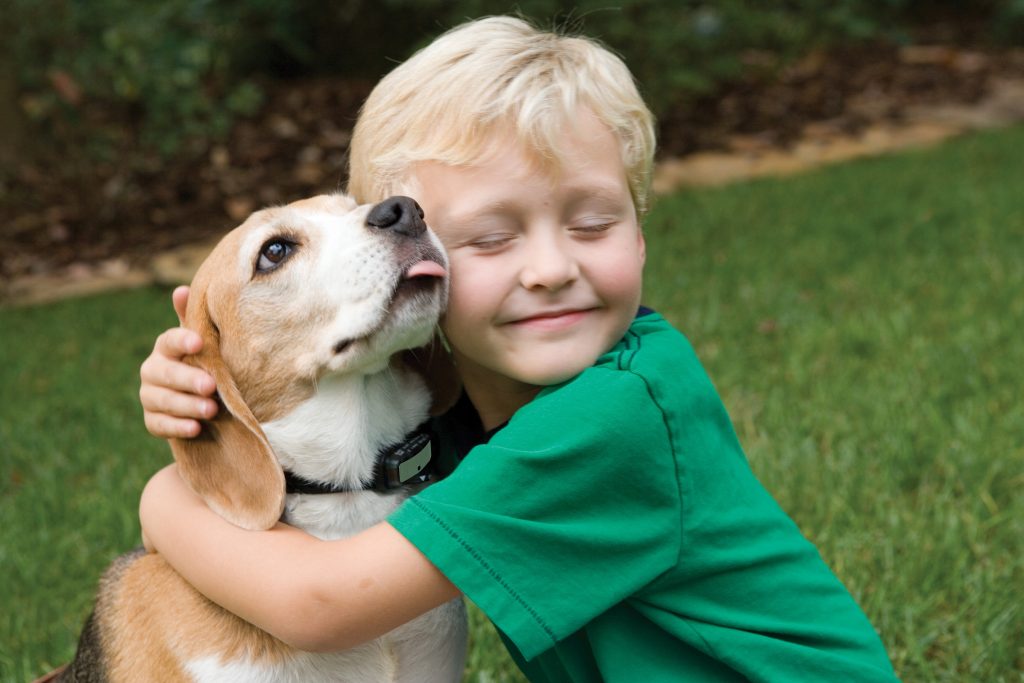 Dog as an Emotional Support Animal