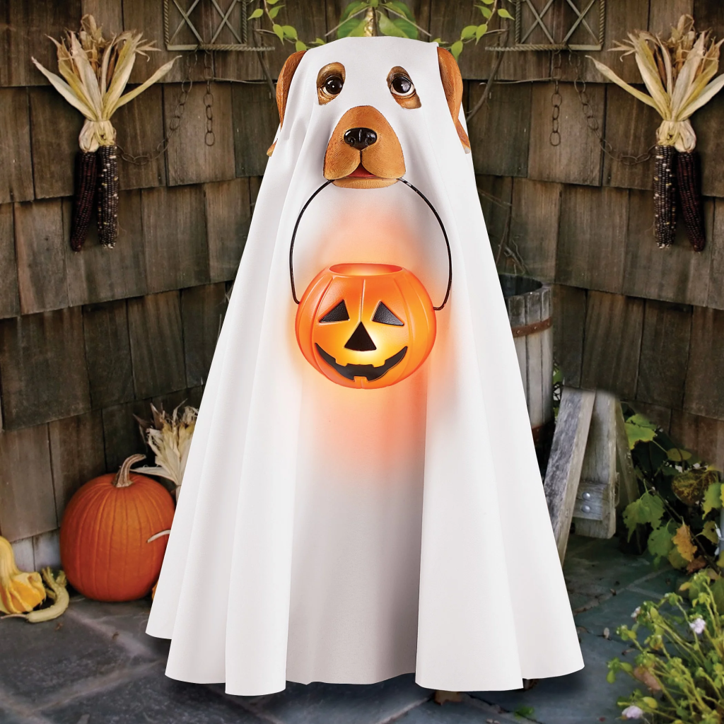 Halloween dog