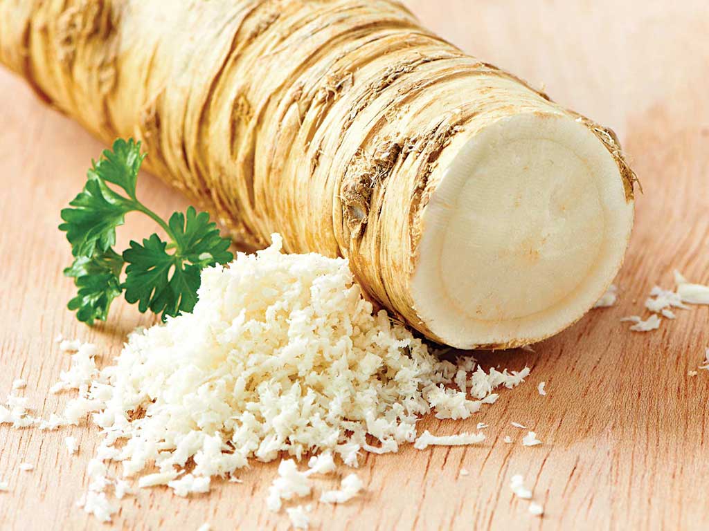 horseradish