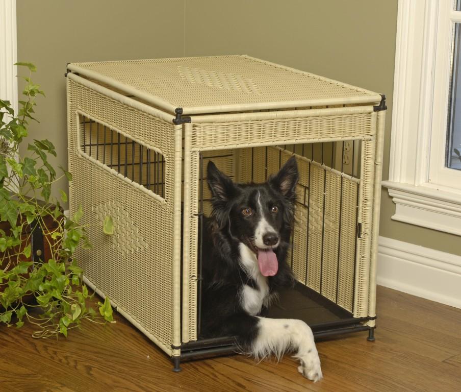 Dog Crate