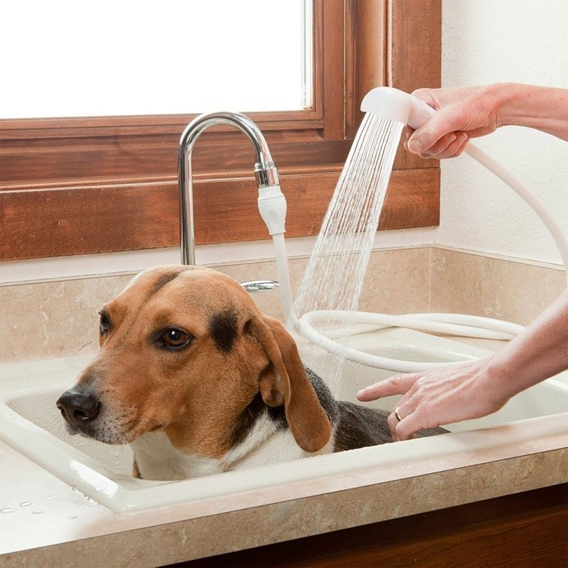 Dog taking a bath