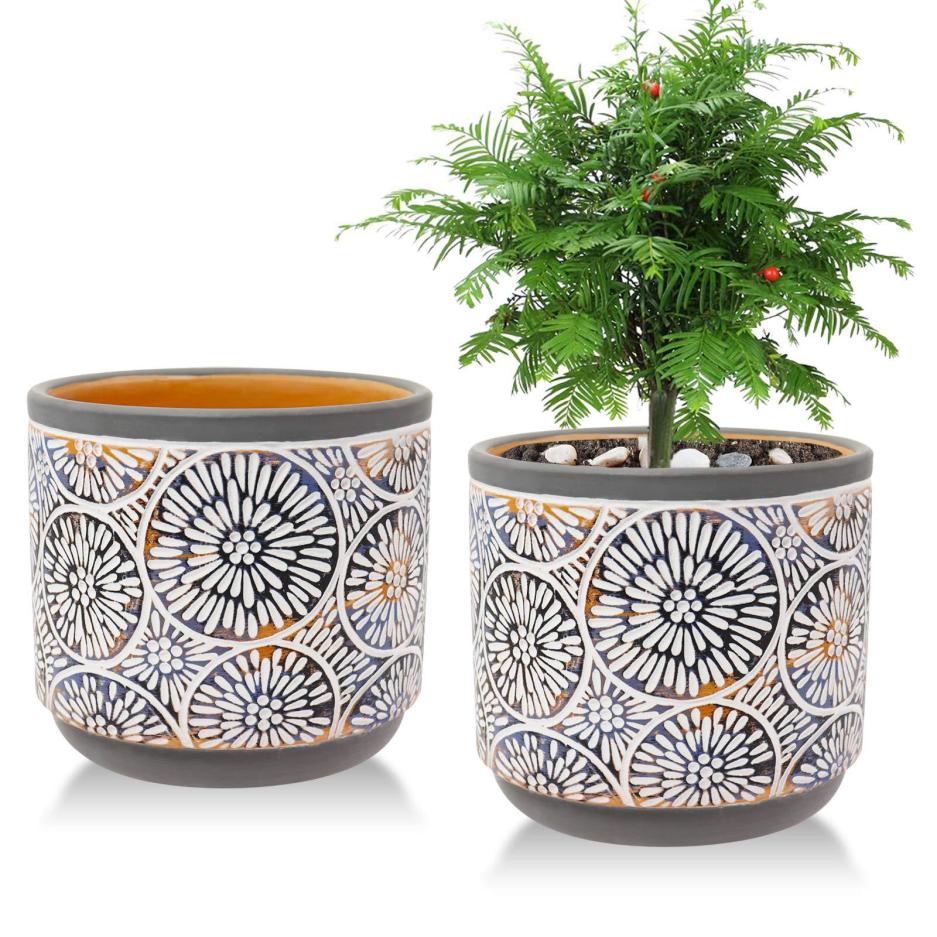 gifts that start with the letter c for adults