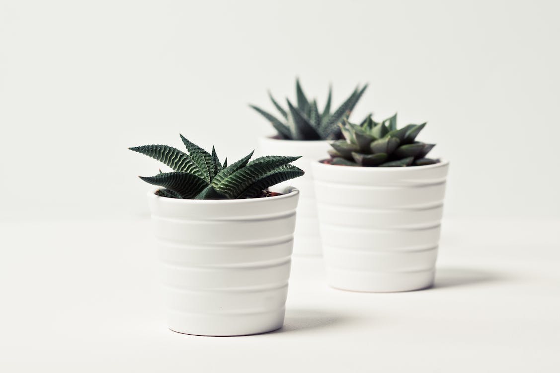 gift ideas that start with b