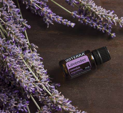 Lavender Essential Oil