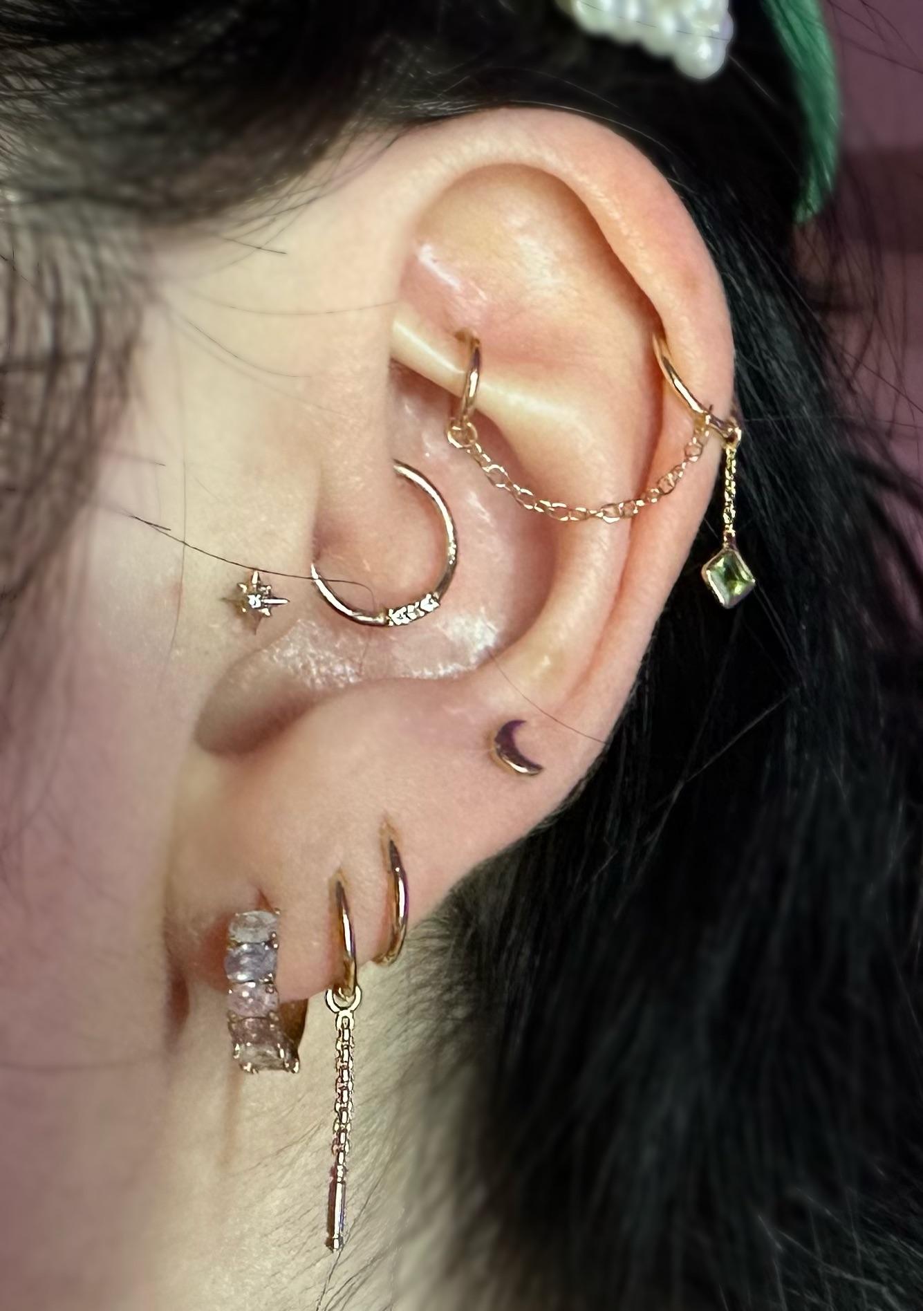 prince albert piercing body jewelry