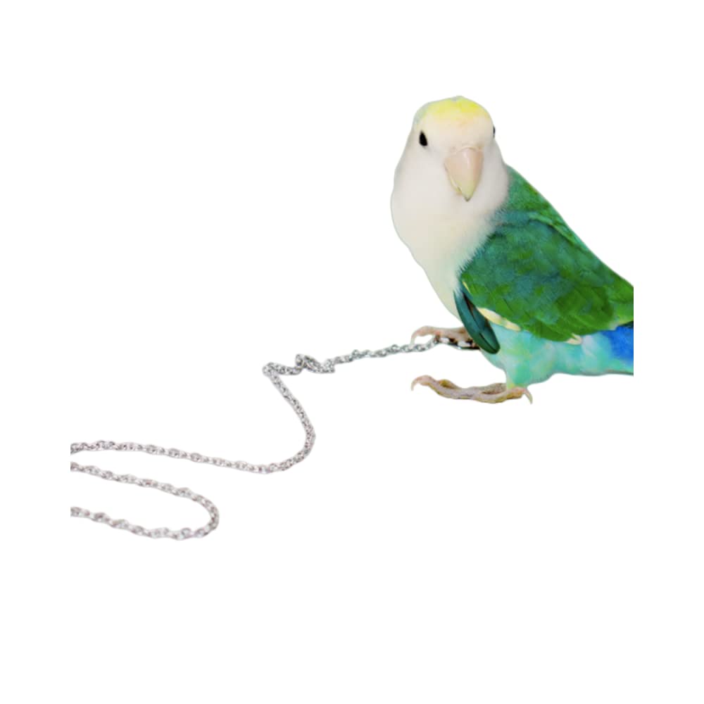 bird accessories outdoor