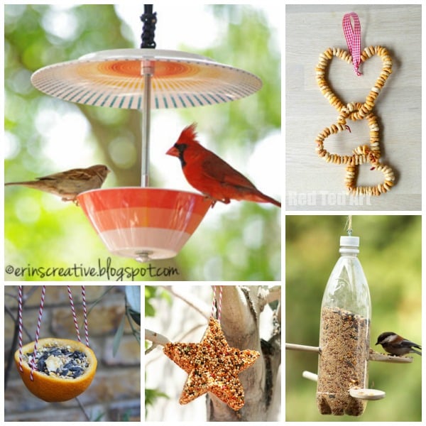 bird feeder craft for kids