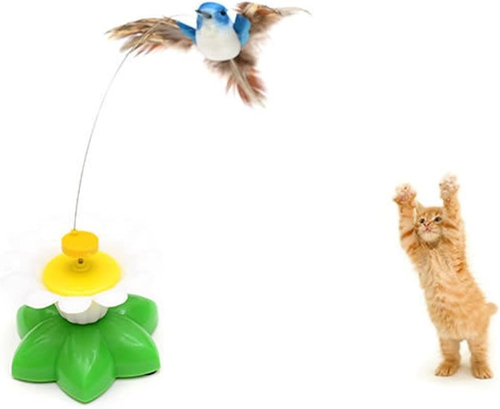 bird toy for cats