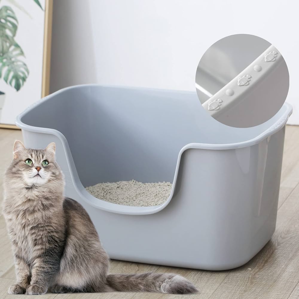 When to change cat litter