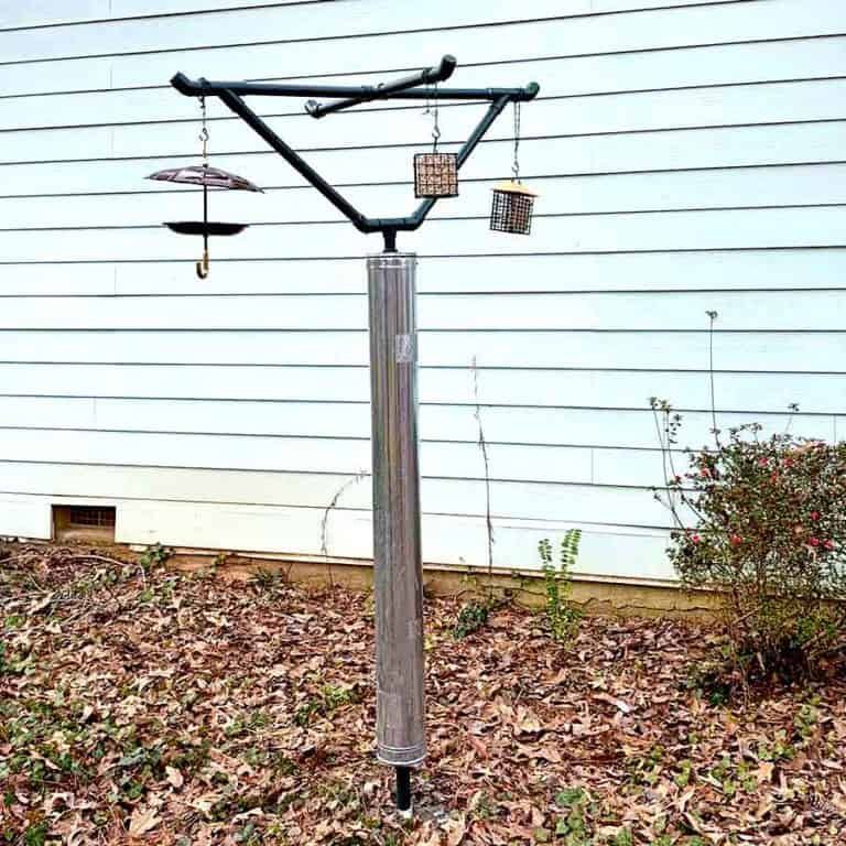 diy bird feeder 