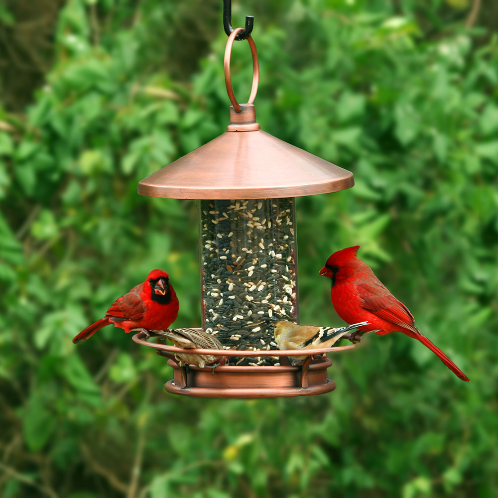 diy bird feeder 