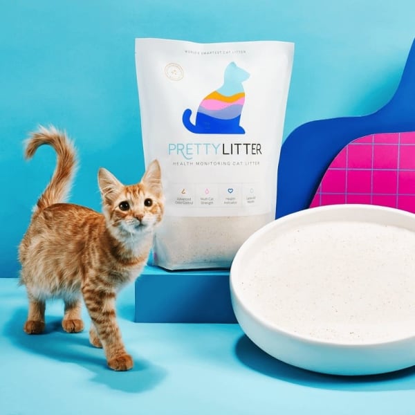 dispose of cat litter