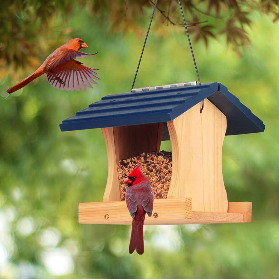 home made bird feeder