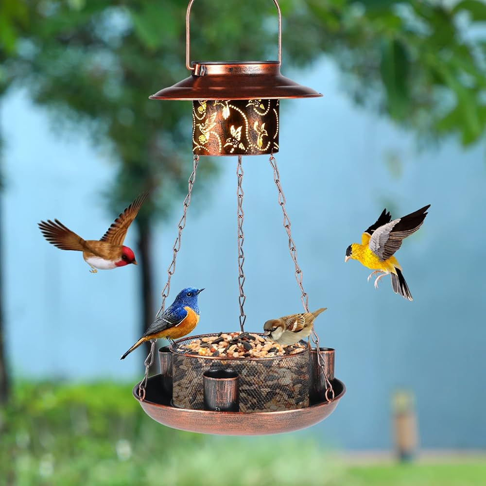  bird feeder