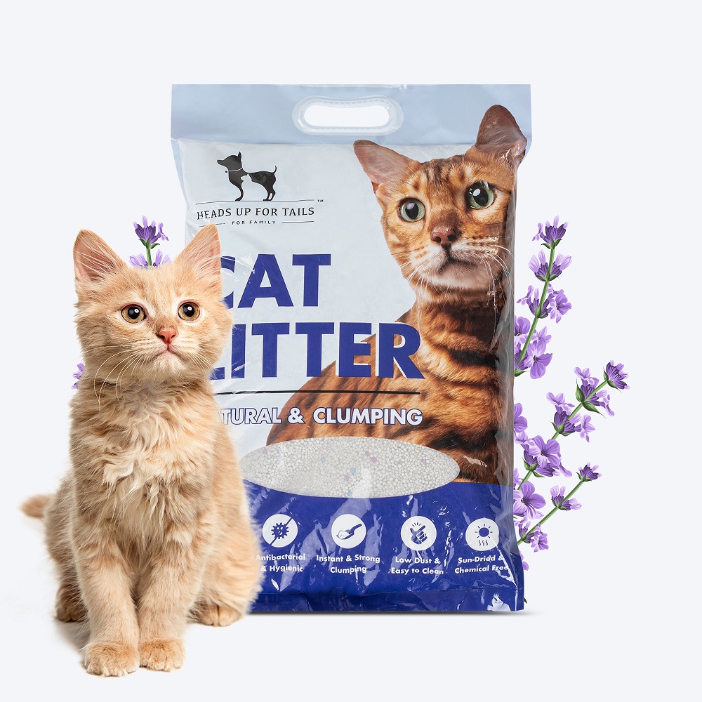 Clumping Cat Litter