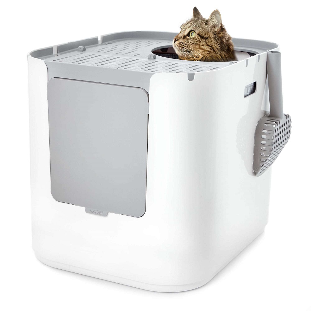 cat litter box