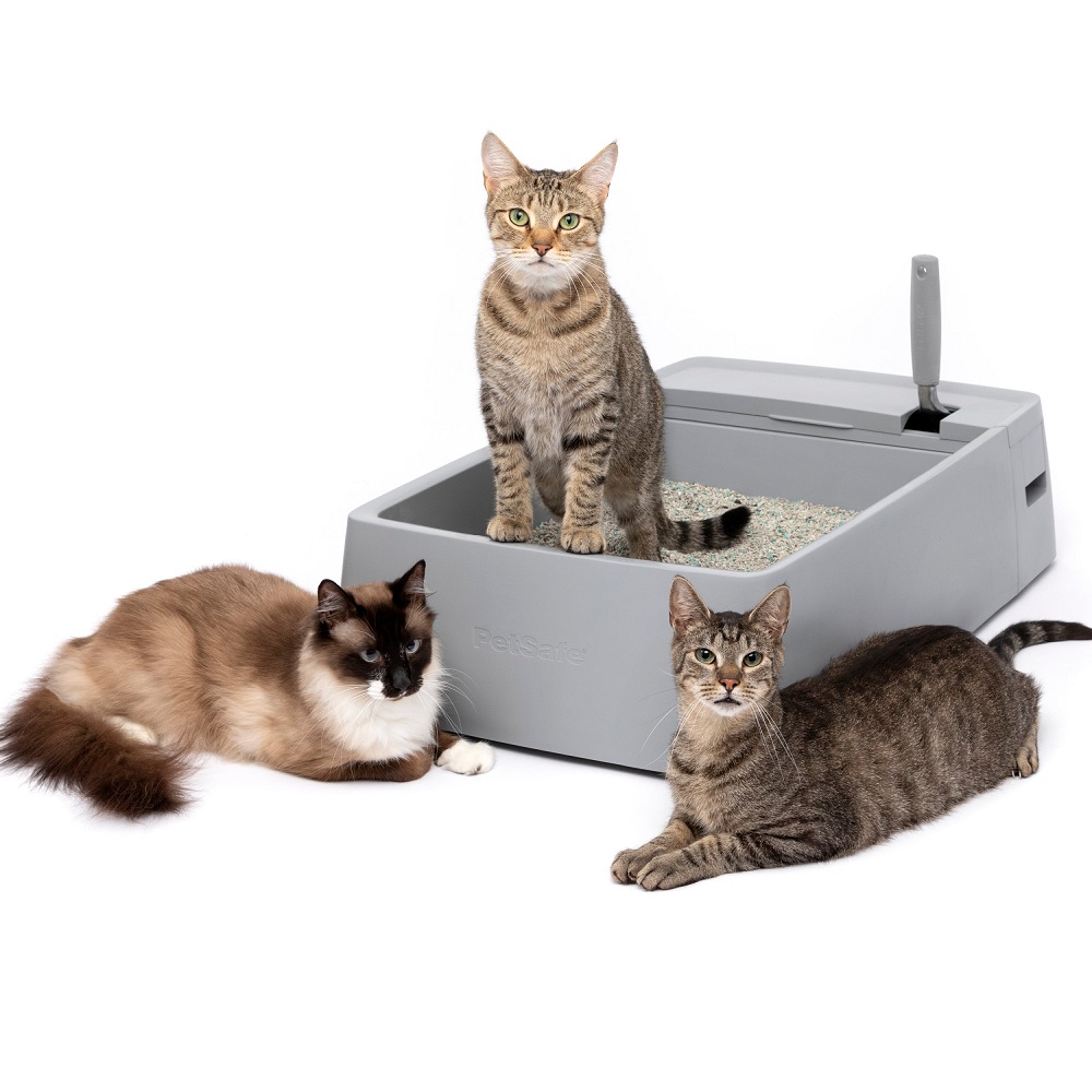 cat litter box