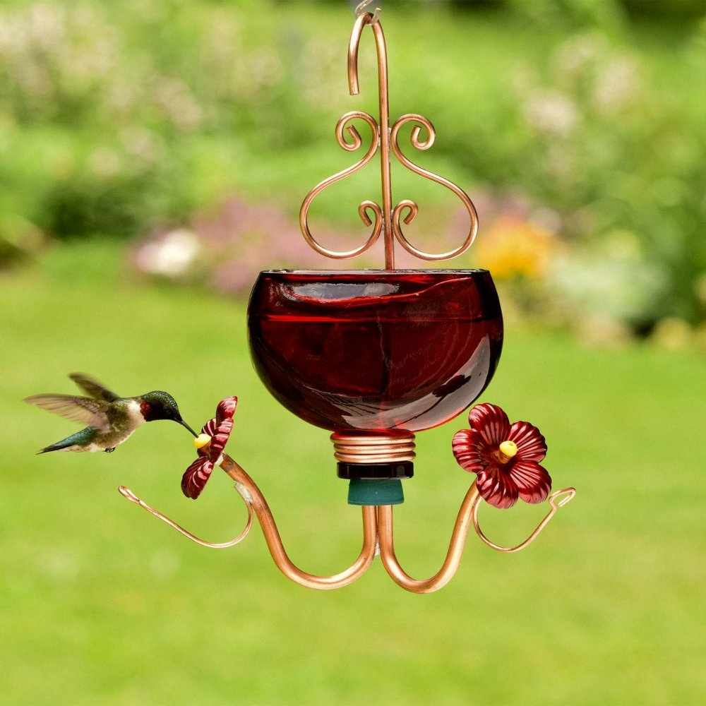 Hummingbird Feeder