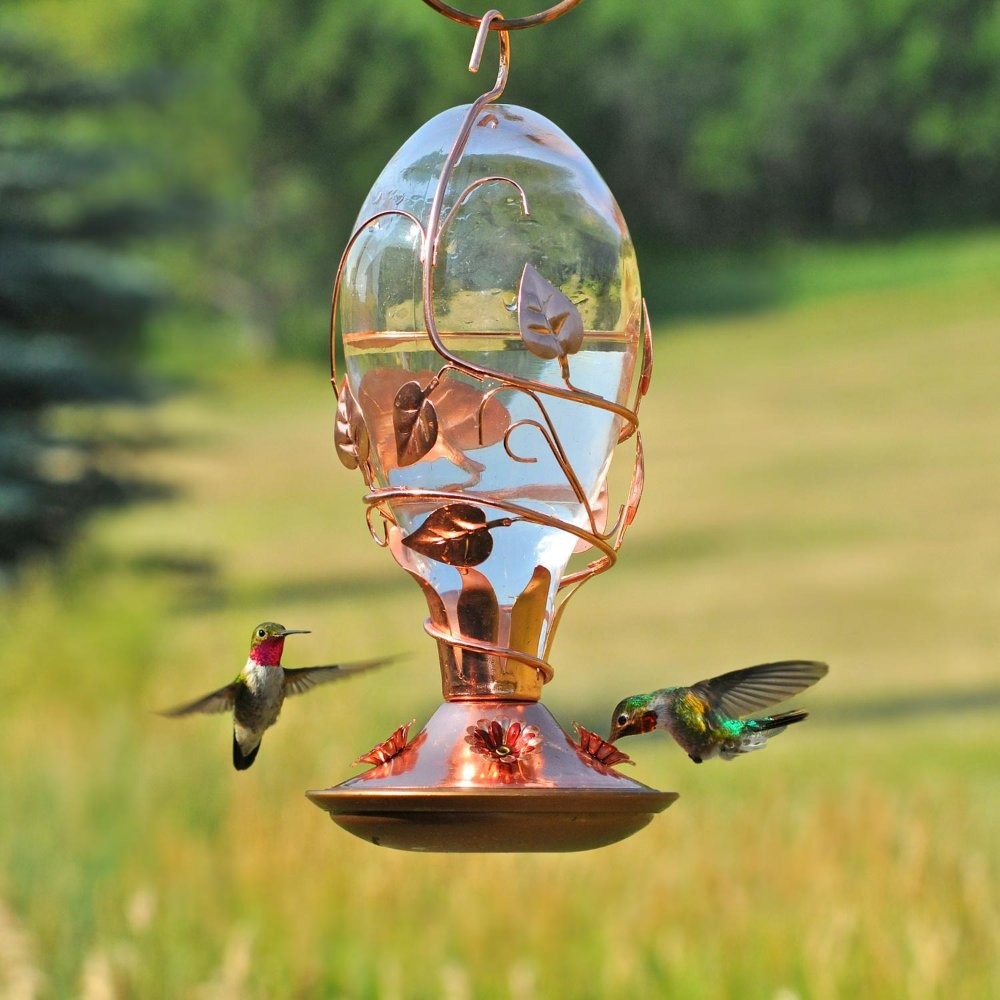 Hummingbird Feeder