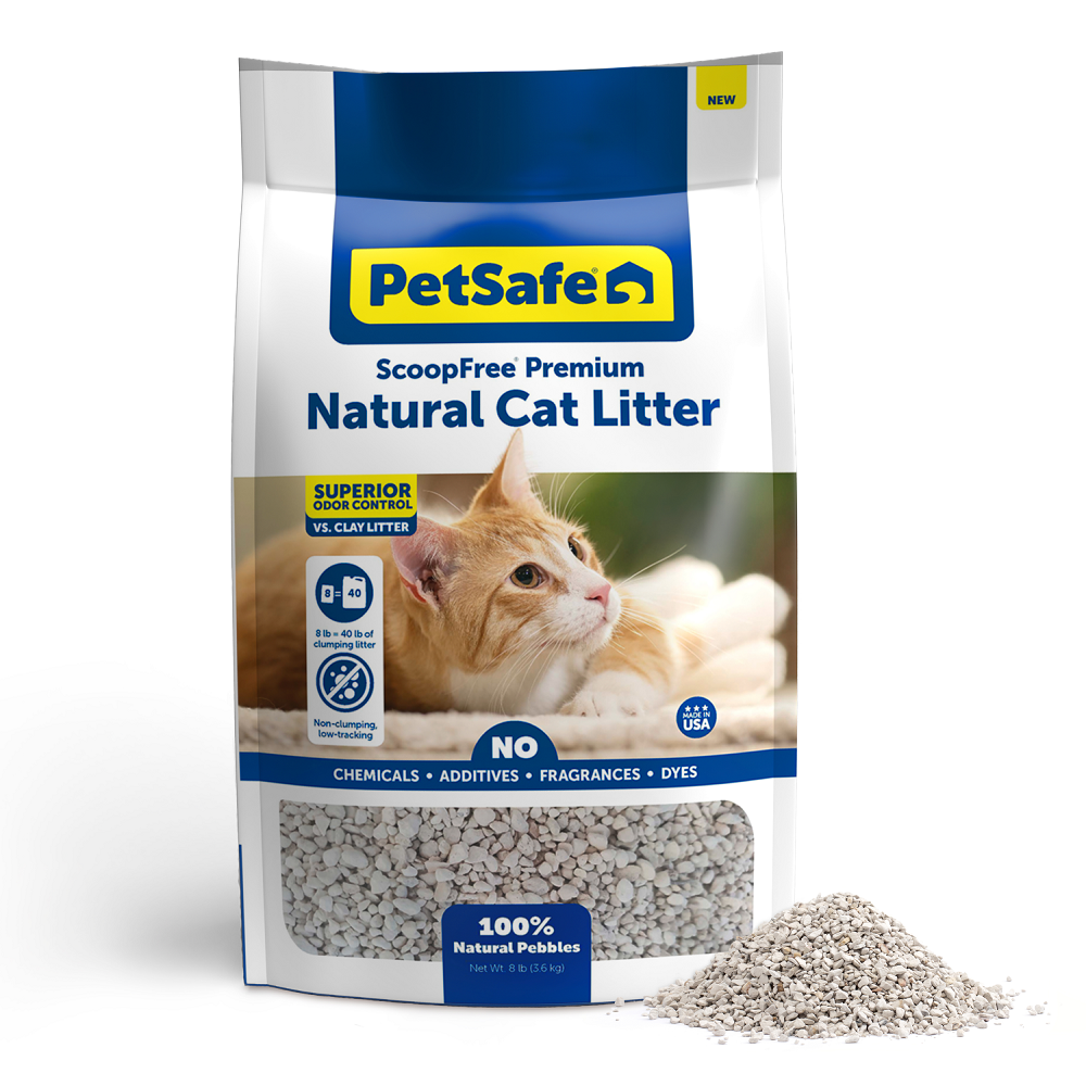 cat litter