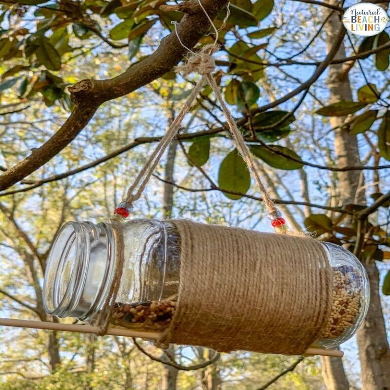 bird feeder bottle