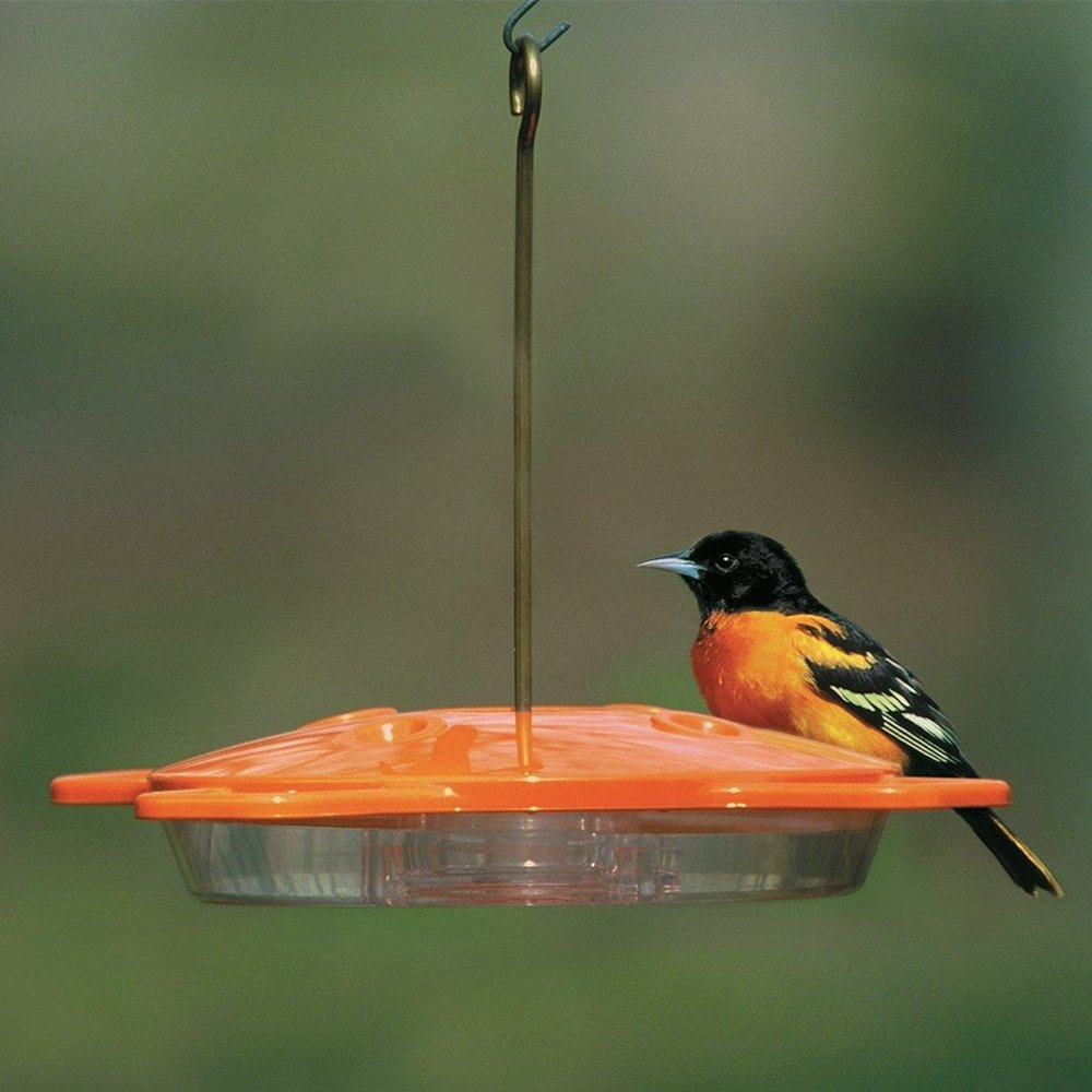 Oriole Feeder