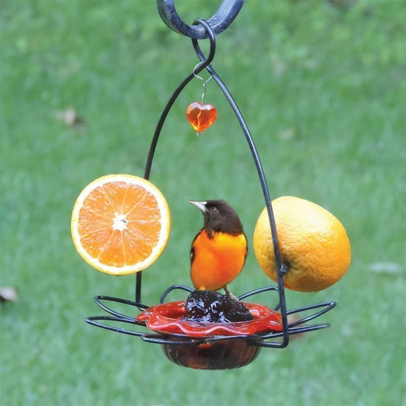 Oriole Flower Feeder