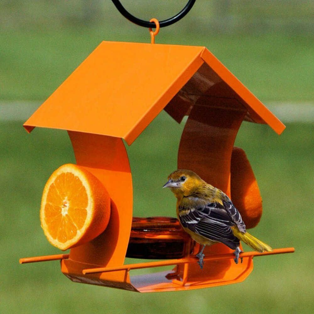 oriole feeder