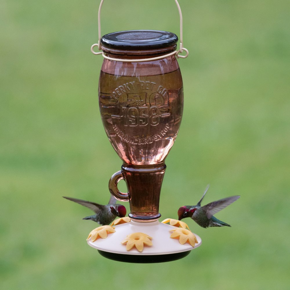 a hummingbird feeder