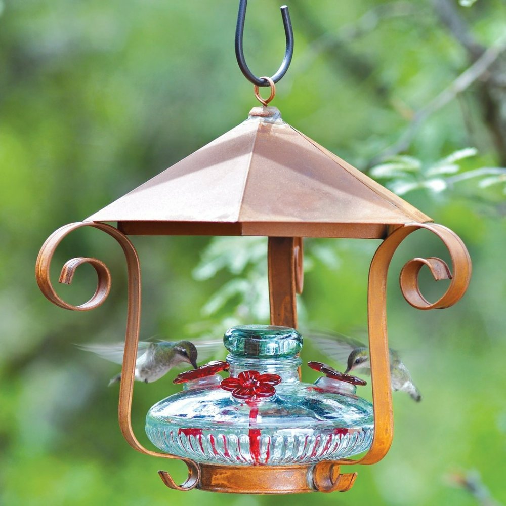 hang hummingbird feeder