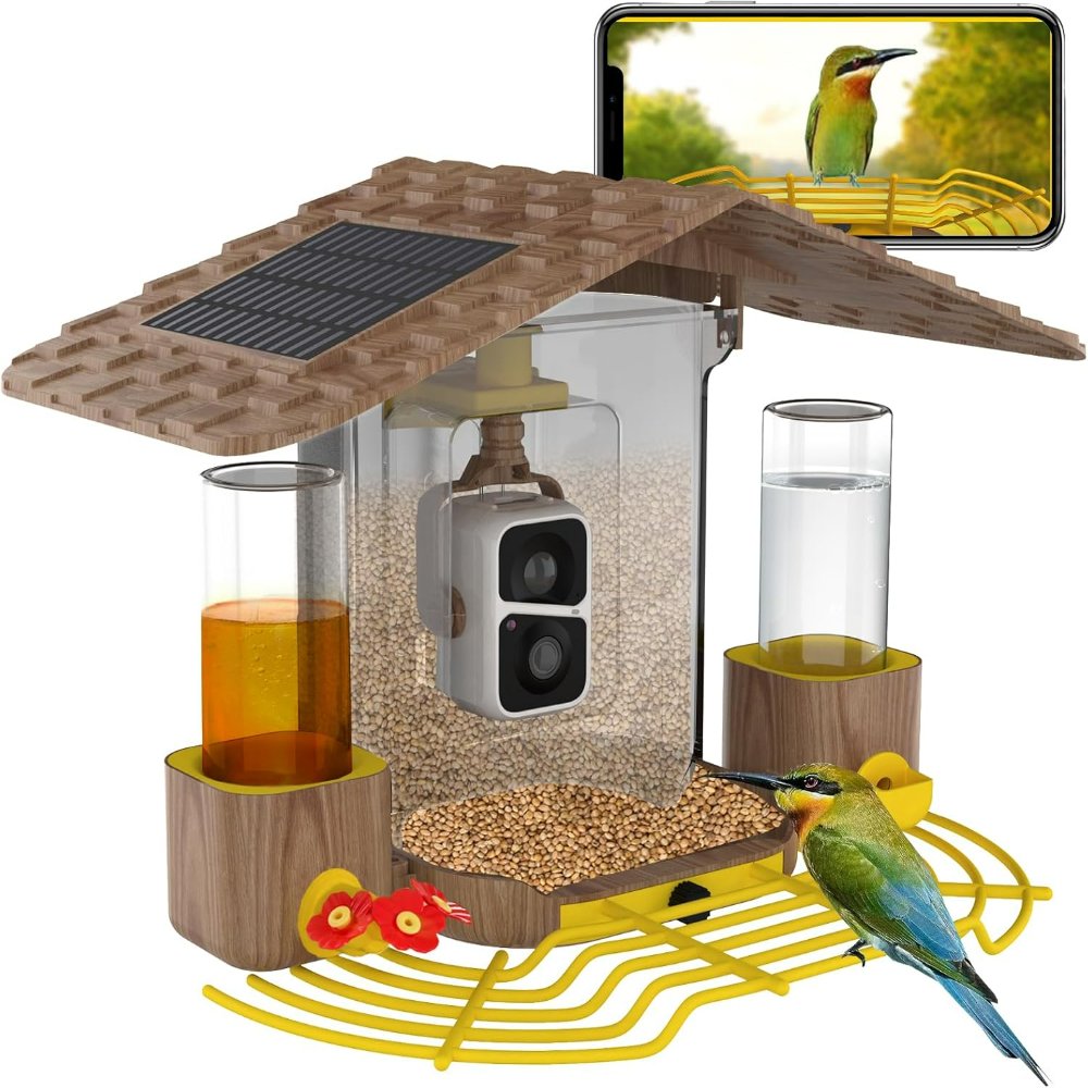 live bird feeder cam