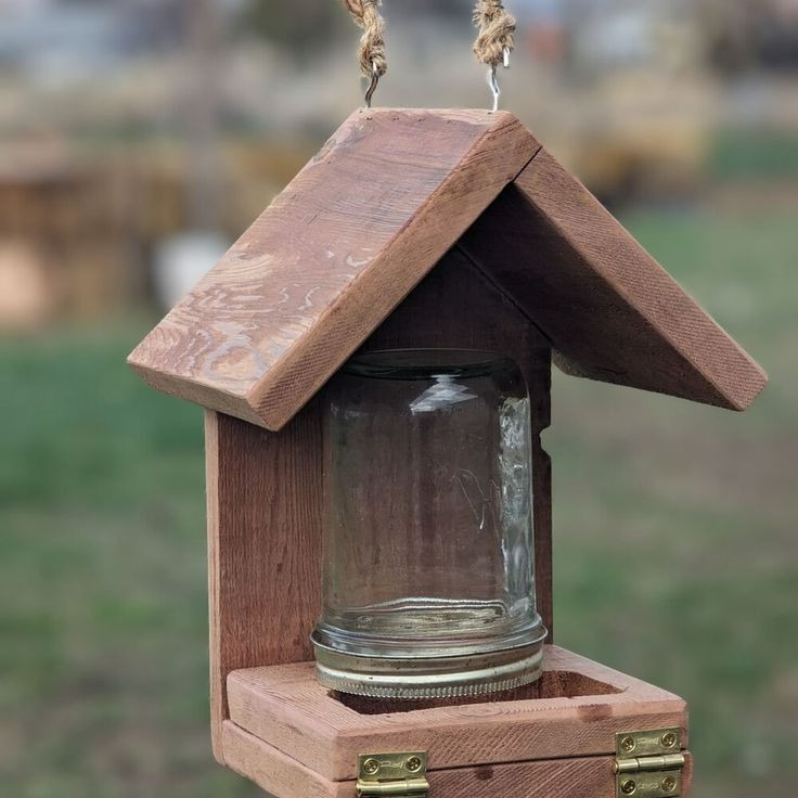 bird feeder