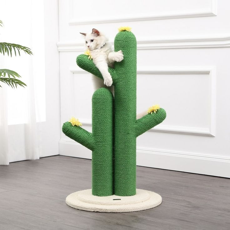 cactus cat tree