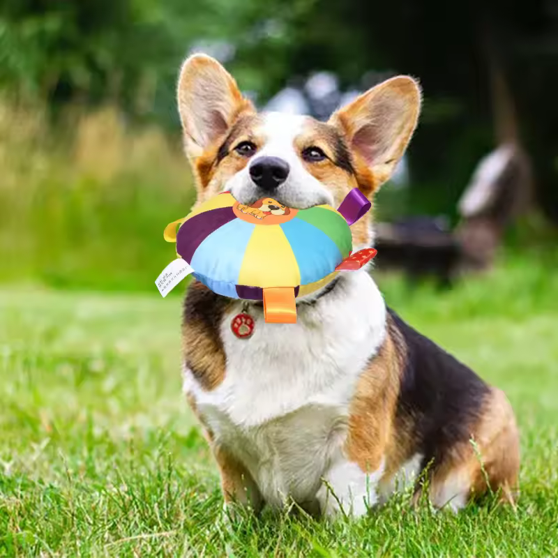 frisbee