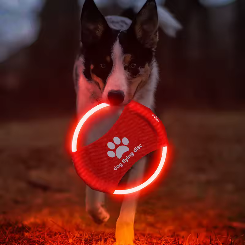 light ultimate frisbee