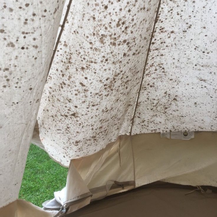 how to clean a tent