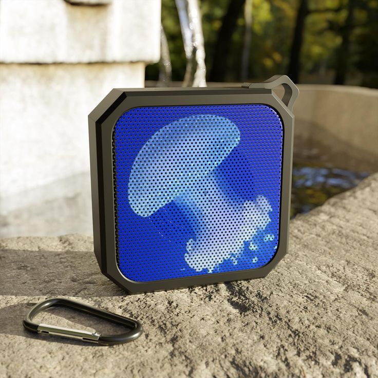 Bluetooth outdoor speaker