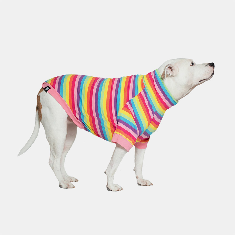 dog shirts
