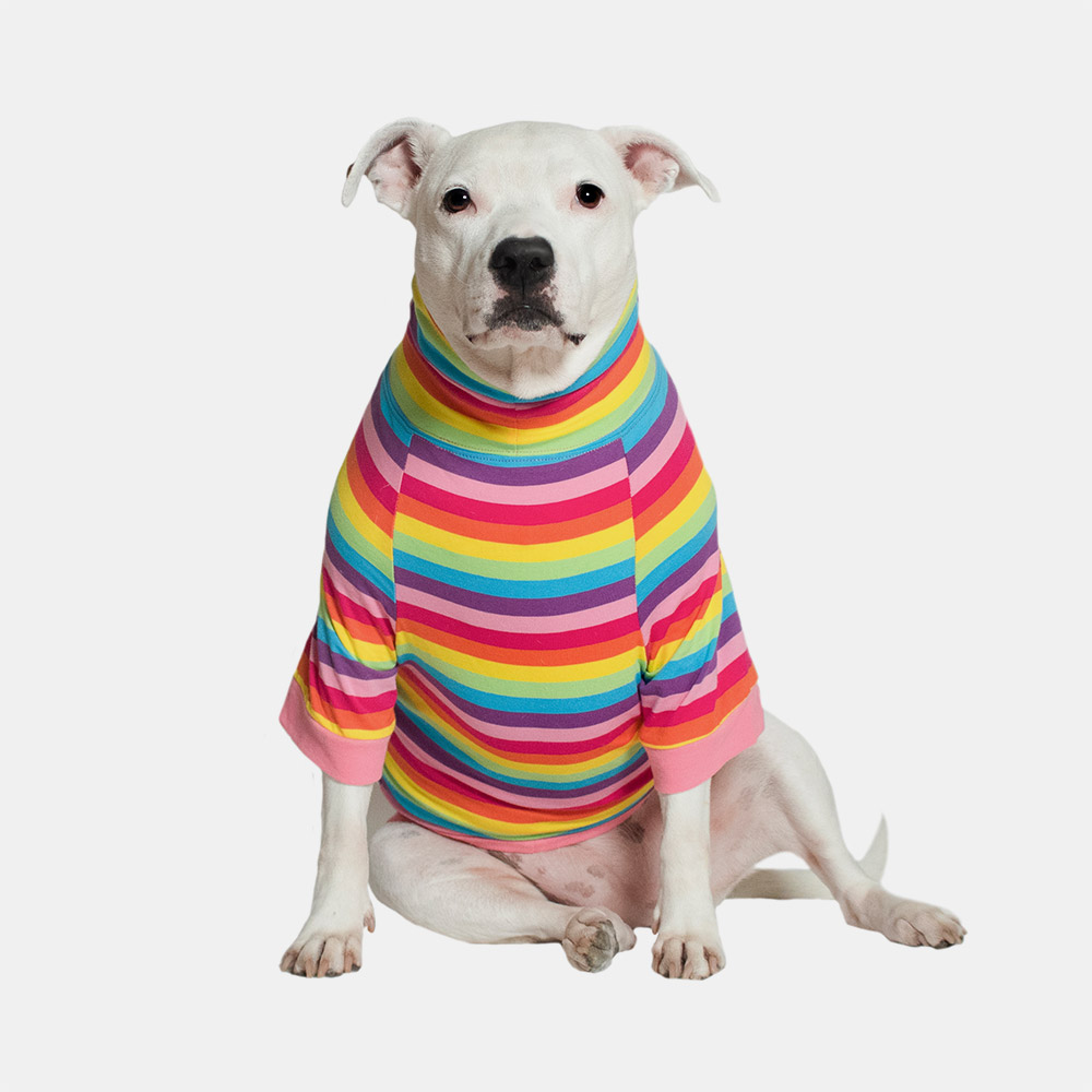 dog shirts