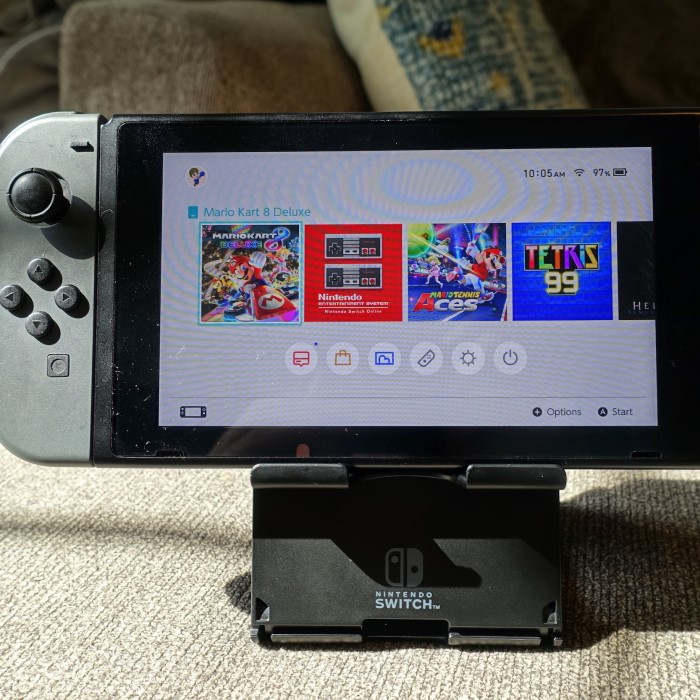 Nintendo Switch accessories