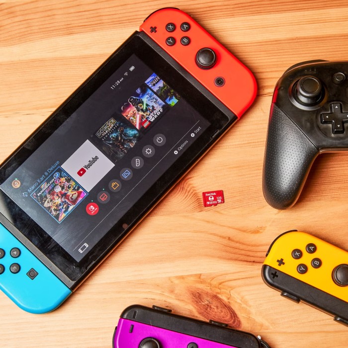 Nintendo Switch accessories
