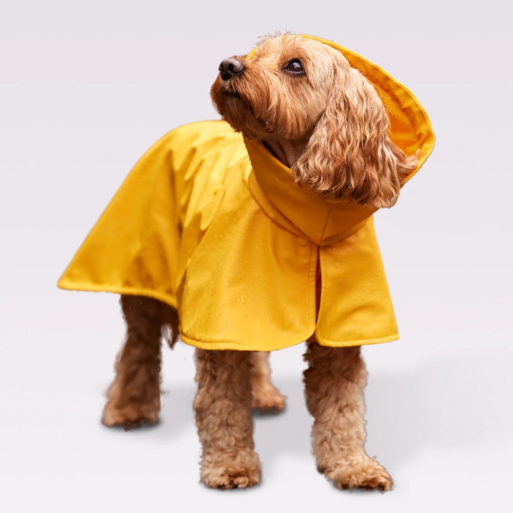 rain coat for dogs