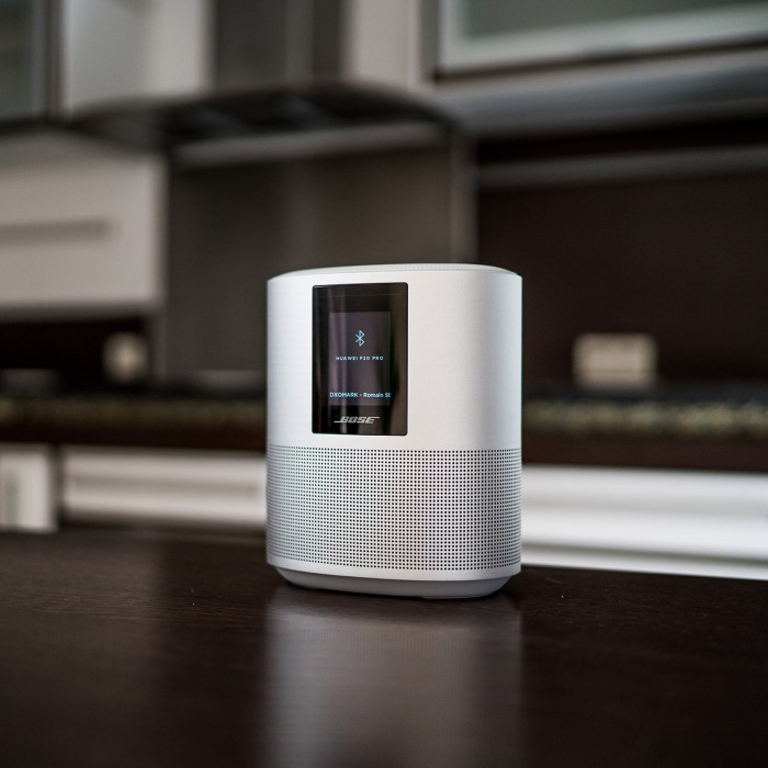 bose smart speaker 500