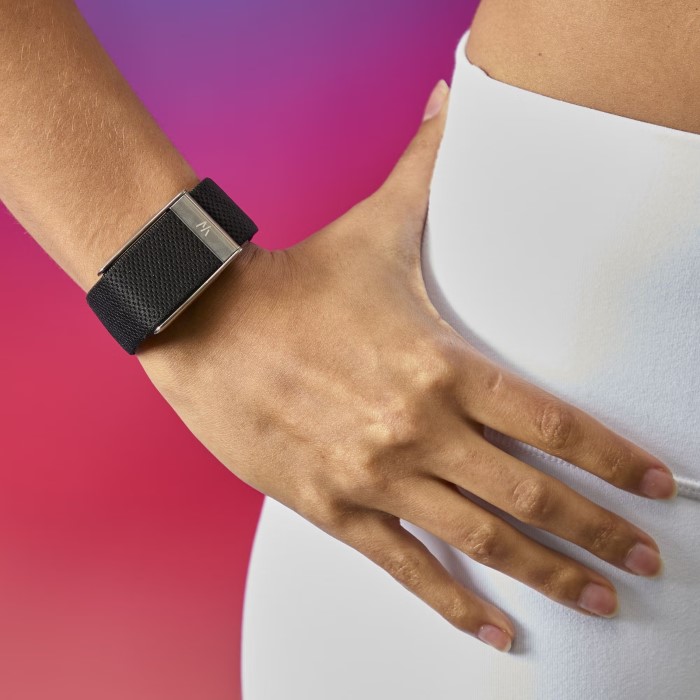 bellabeat leaf fitness tracker