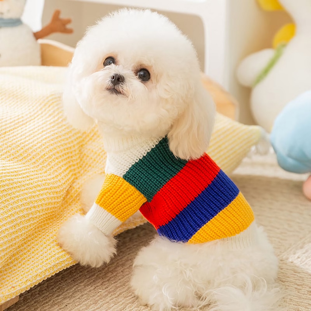 small dog sweaters