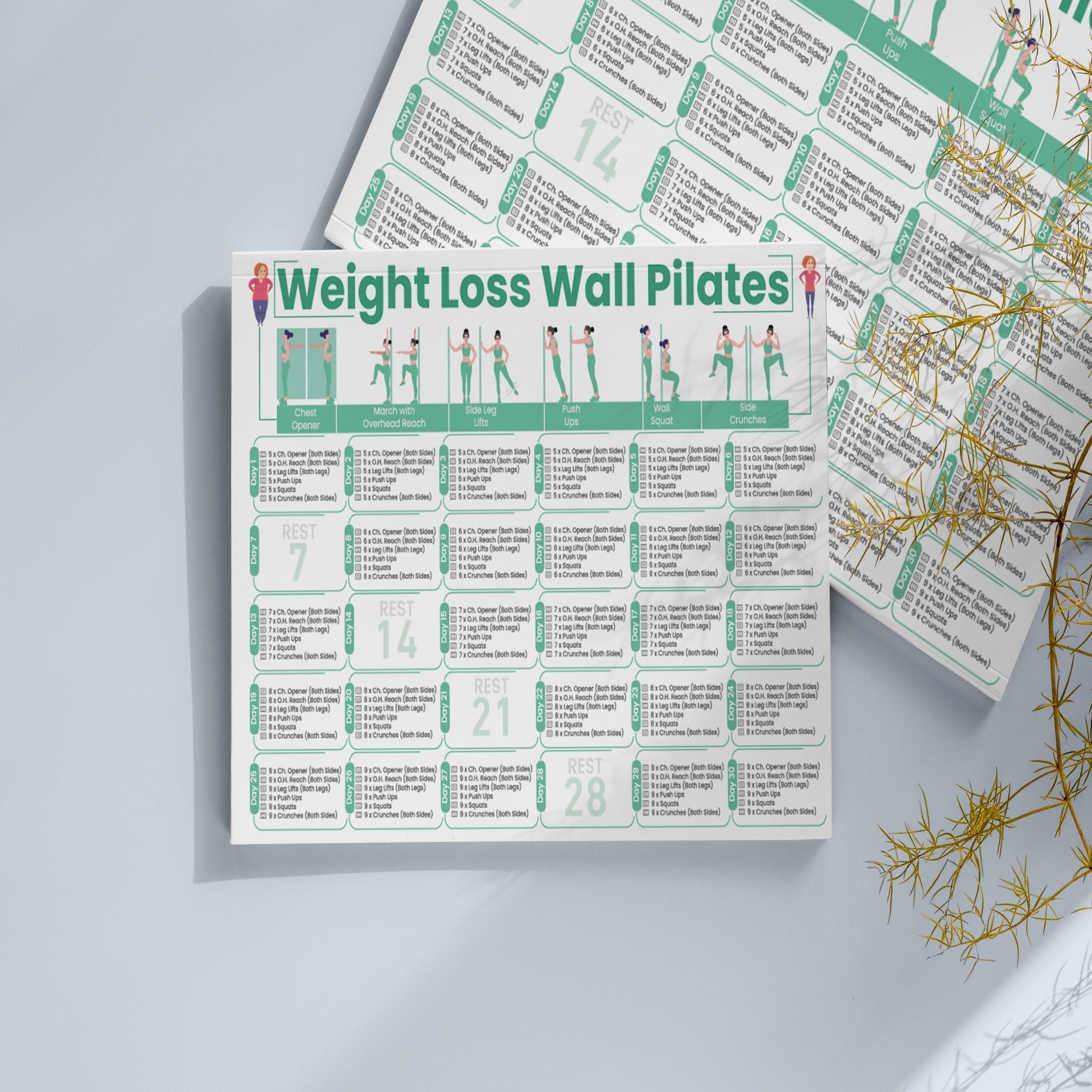 wall pilates chart