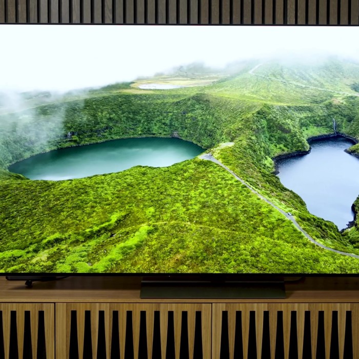 lg oled tv