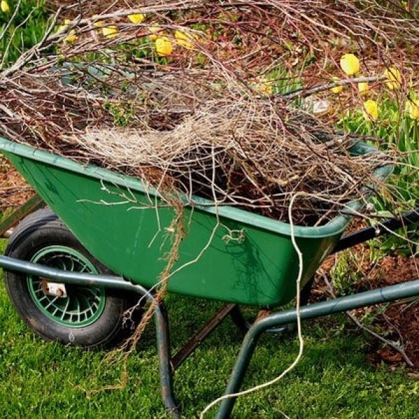 spring clean up